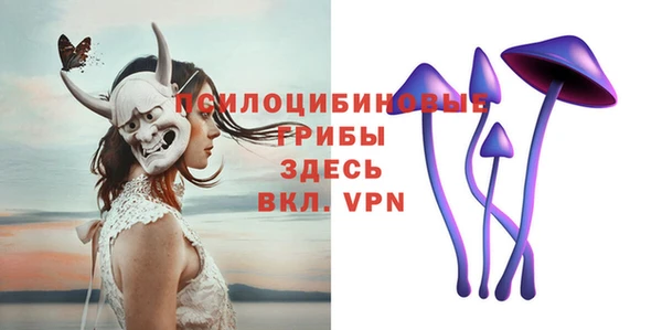 бошки Няндома