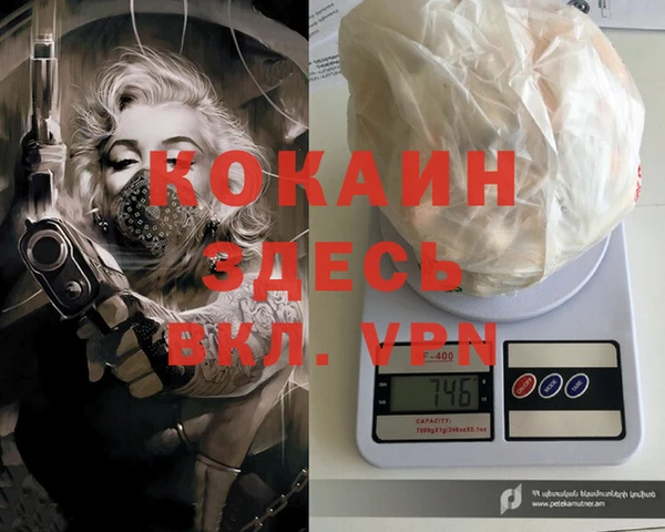 бошки Няндома