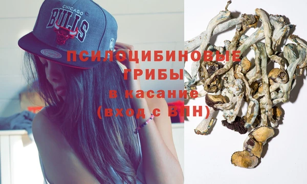 mix Бикин
