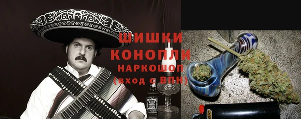бошки Няндома