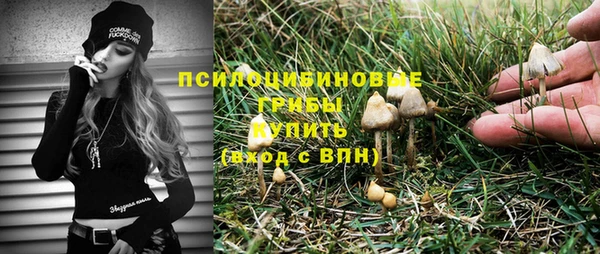 дмт Нязепетровск