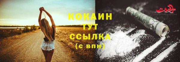 дмт Нязепетровск